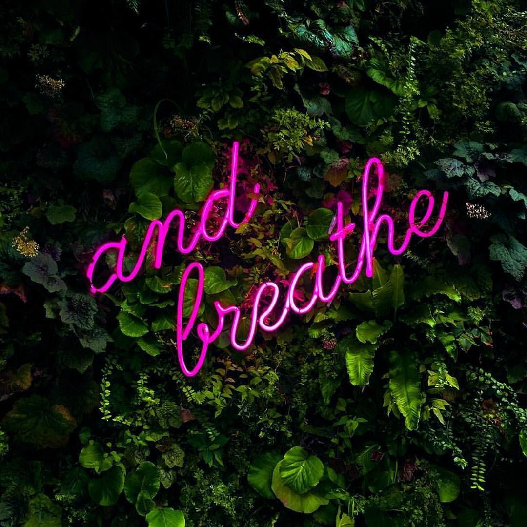and breathe in neon letters